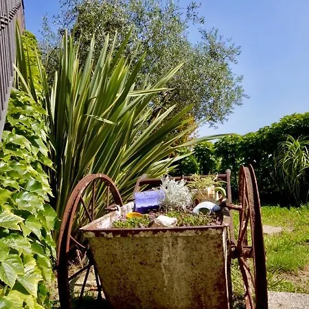 Agriturismo Fattoria Attiva Di Bigio Mauro Apartment